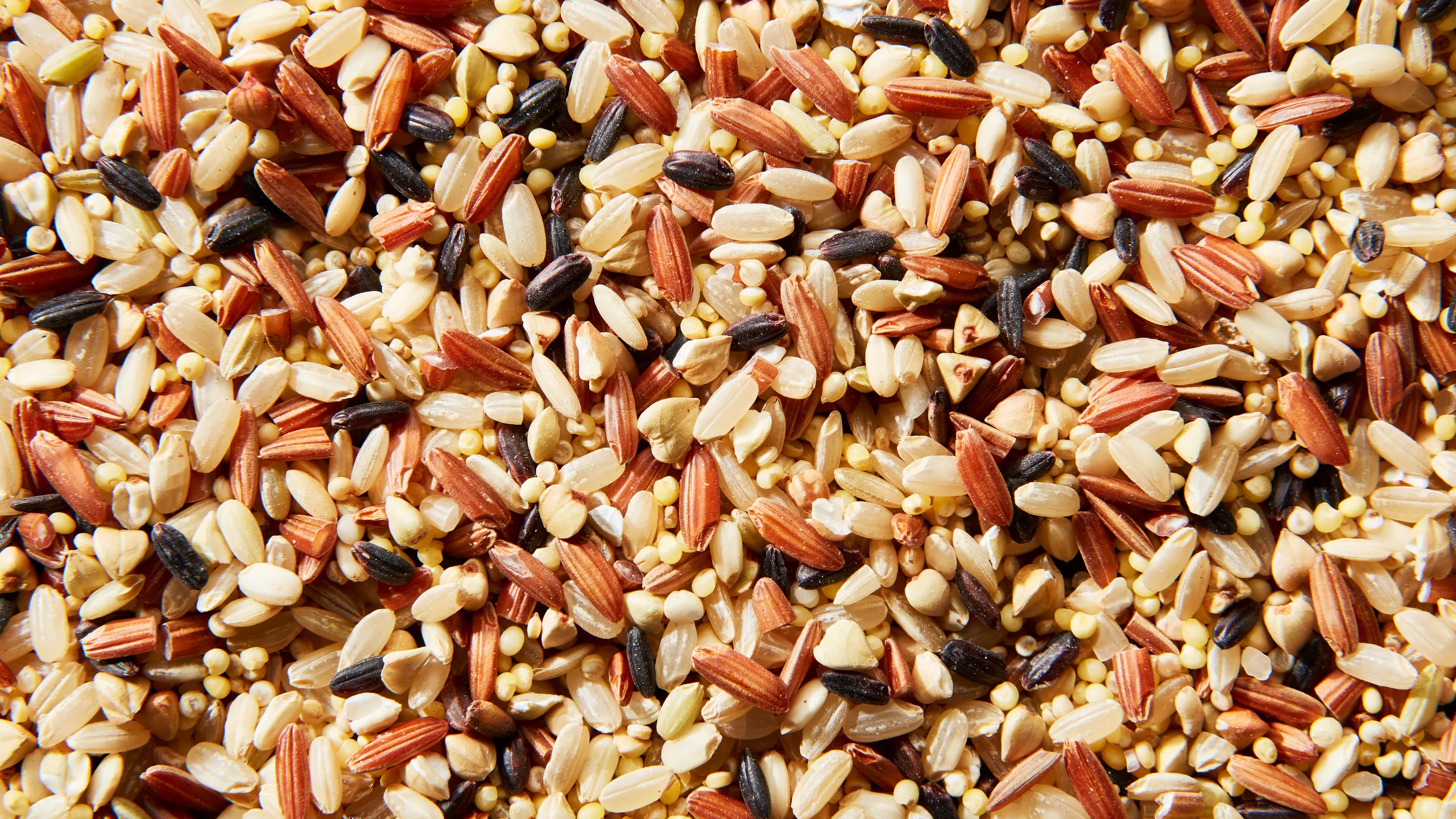 Organic Mixed Brown Rice